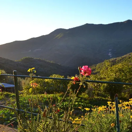 Σπίτι διακοπών Cozy Holiday In Alassio With Terrace