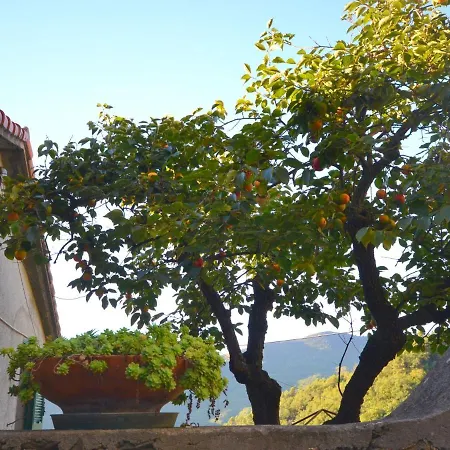 Cozy Holiday In Alassio With Terrace Σπίτι διακοπών Stellanello